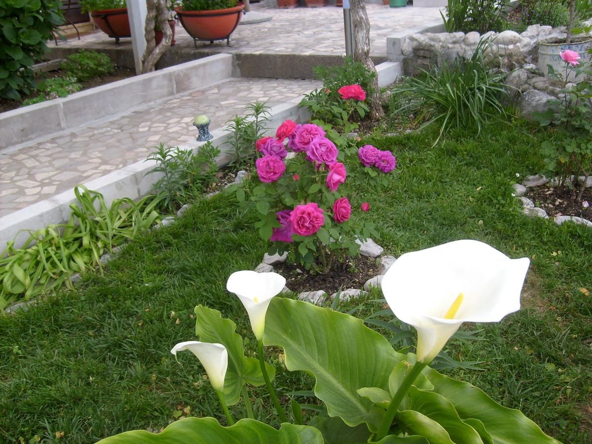 Апартаменты Apartments Bovan Херцег-Нови-25